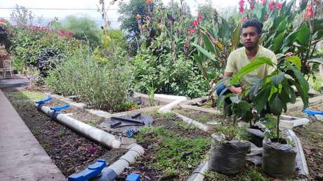 De las llantas a las plantas: el ingenio de un joven ecuatoriano para tratar aguas residuales