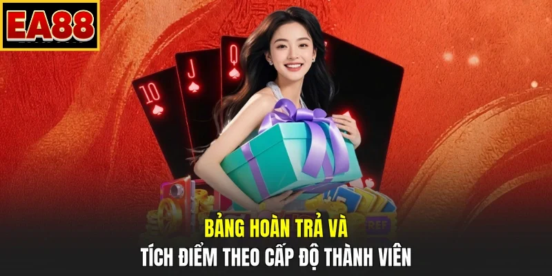 Bảng hoàn trả và tích điểm theo cấp độ thành viên