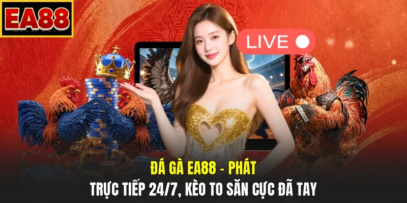 Đá Gà EA88 – Phát Trực Tiếp 24/7, Kèo To Săn Cực Đã Tay